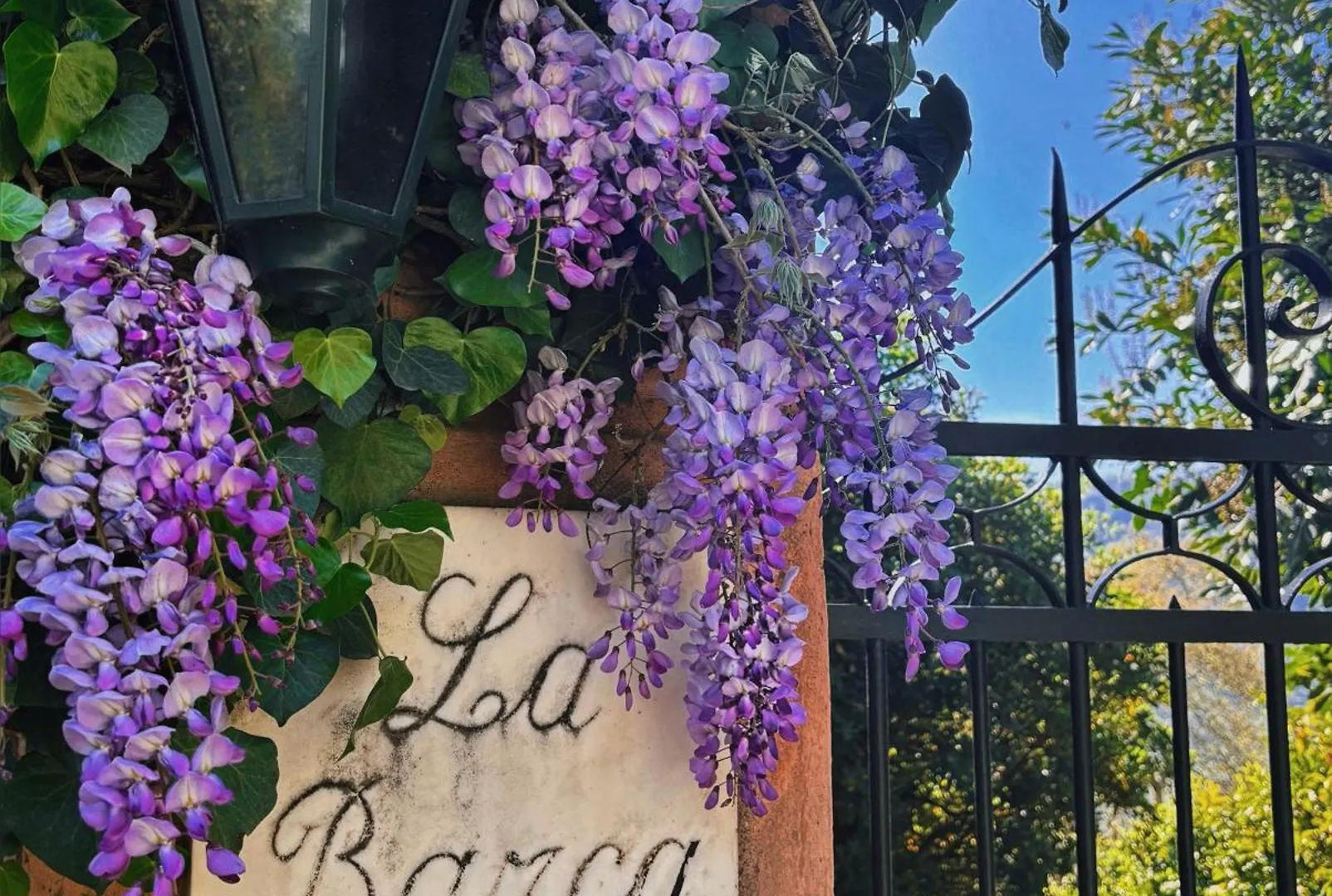 Casa Carpe Diem A Villa Barca Casanova Lerrone Guest house