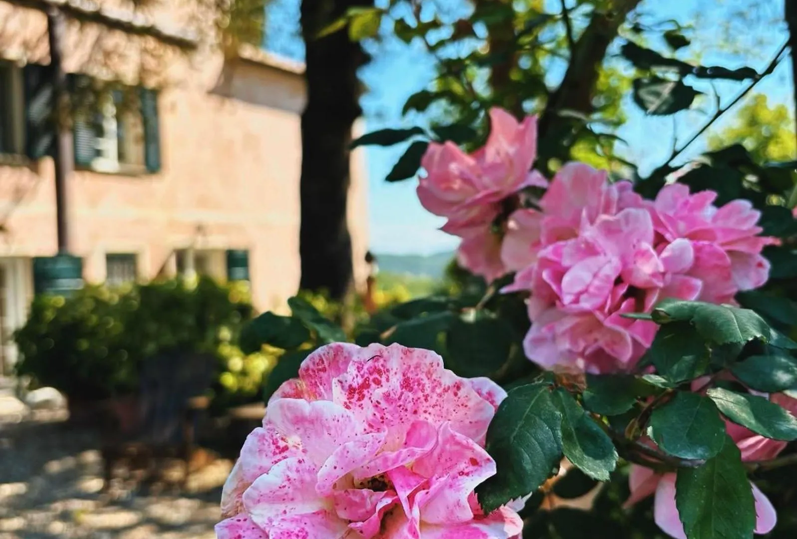 Guest house Casa Carpe Diem A Villa Barca Casanova Lerrone